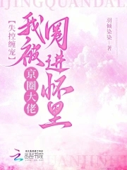 失控缠宠,我被京圈大佬圈进怀里